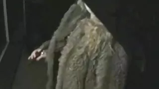 জোডি টেলর বিভিন্ন যৌ ...