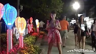 স্যালাসিয়াস লেডিবয় ...