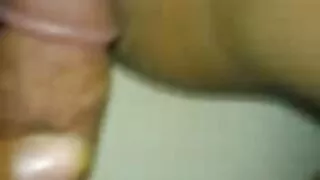 মুখরোচক মেয়ে ক্যাট  ...