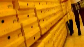 কাওয়াই হট নিম্ফো আস ...
