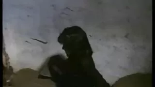 আবর্জনা দেখাচ্ছে ট্য ...