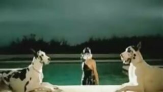 নুবিলস