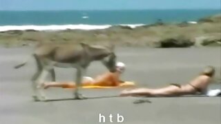ল্যাটেক্স