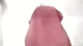 Zesty শ্যামাঙ্গিনী ই ...
