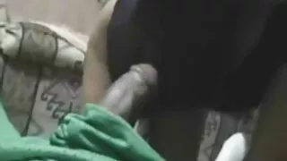 টরিড শ্যামাঙ্গিনী বে ...