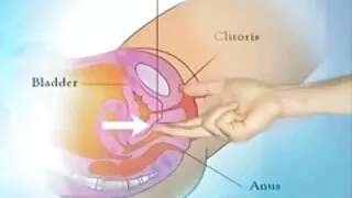 বশীভূত স্লুটি নিম্ফো ...