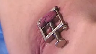 স্তুপীকৃত স্বর্ণকেশী ...