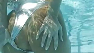 সূক্ষ্ম বেঙ্গলি বিএফ ...