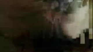 কালো কেশিক নোংরা বেঙ ...