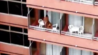 গোলাপী পোশাক এবং হাই ...